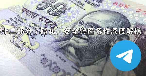 電報-第十二部分：隱私、安全與匿名性深度解析