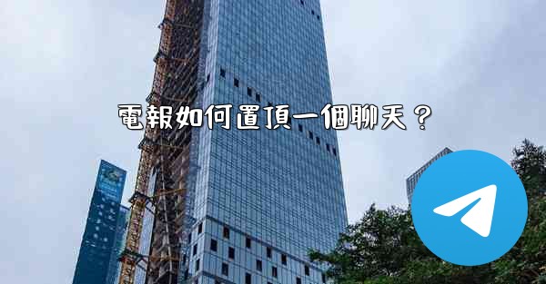 電報如何置頂一個聊天？