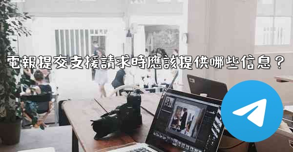 電報提交支援請求時應該提供哪些信息？