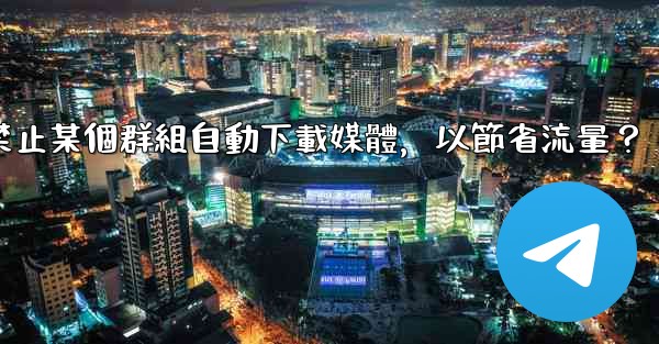 電報如何禁止某個群組自動下載媒體，以節省流量？