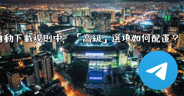 電報媒體自動下載規則中，「高級」選項如何配置？