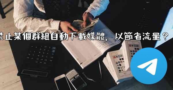 <b>Telegram如何禁止某個群組自動下載媒體，以節省流量？</b>