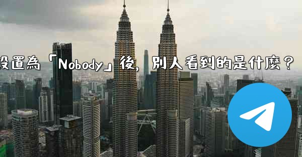 Telegram設置為「Nobody」後，別人看到的是什麼？