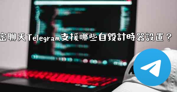 秘密聊天Telegram支援哪些自毀計時器設置？
