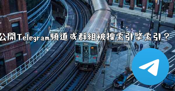 如何防止我的公開Telegram頻道或群組被搜索引擎索引？