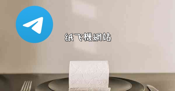 纸飞機網站