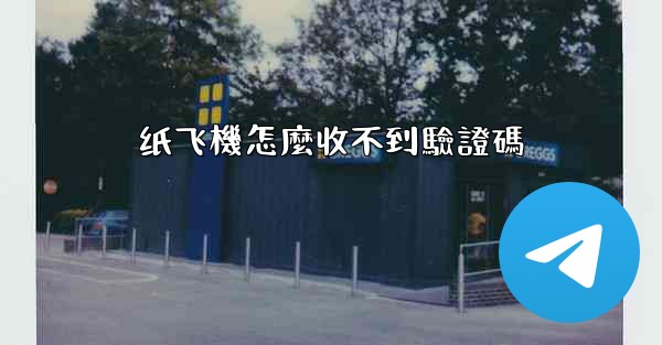 纸飞機怎麼收不到驗證碼