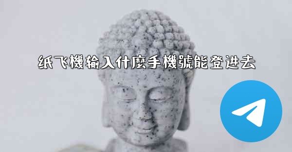 纸飞機输入什麼手機號能登进去