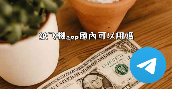 纸飞機app國內可以用嗎