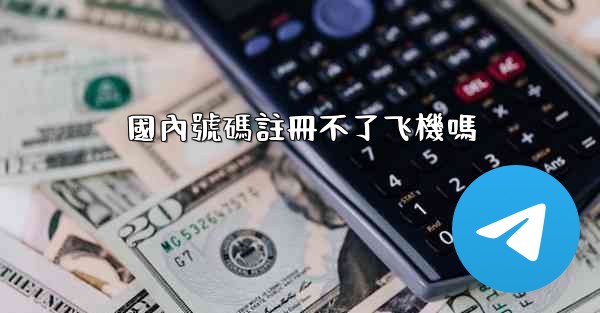 國內號碼註冊不了飞機嗎