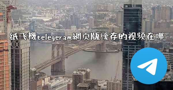 纸飞機telegeram網页版缓存的视频在哪