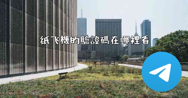 纸飞機的驗證碼在哪裡看