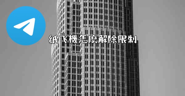 纸飞機怎麼解除限制