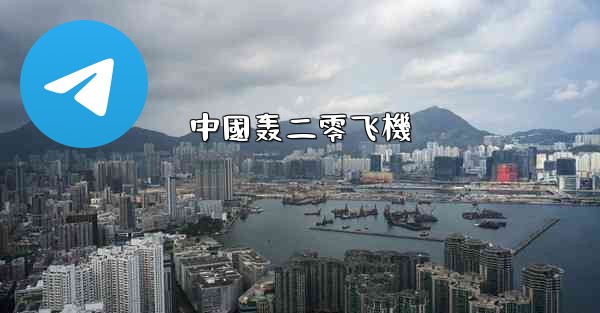 中國轰二零飞機