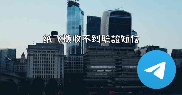 纸飞機收不到驗證短信