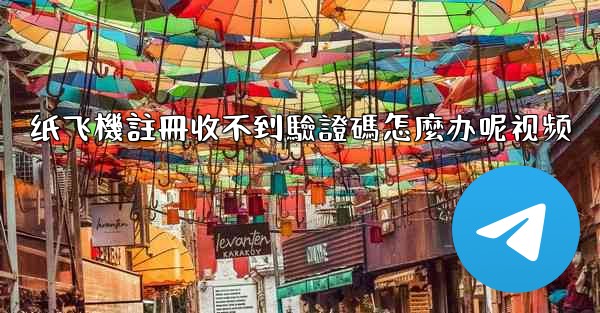 纸飞機註冊收不到驗證碼怎麼办呢视频