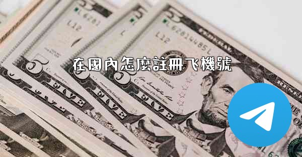 在國內怎麼註冊飞機號