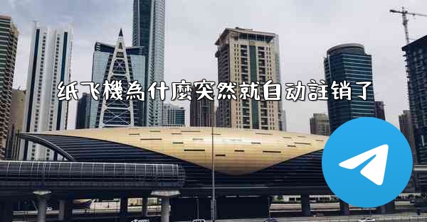 纸飞機為什麼突然就自动註销了