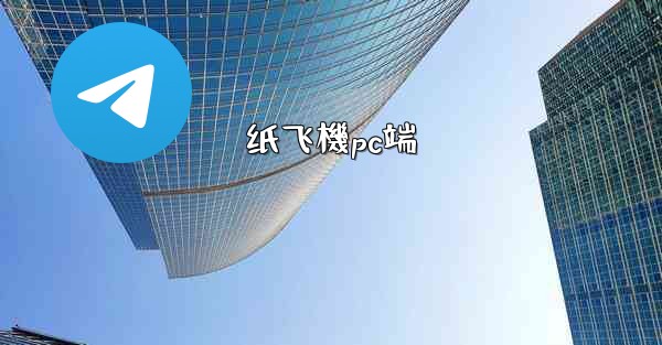 纸飞機pc端