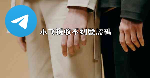 小飞機收不到驗證碼