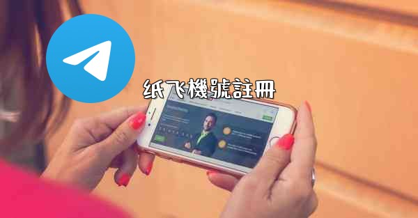 纸飞機號註冊