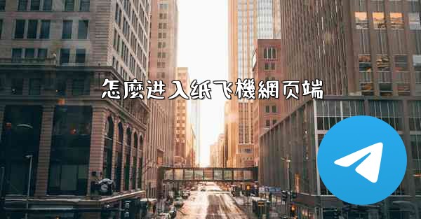 怎麼进入纸飞機網页端