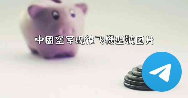 中國空军现役飞機型號图片