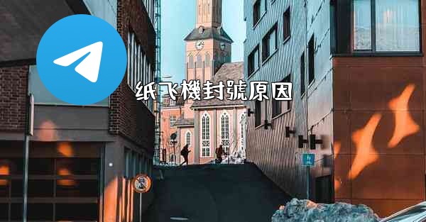 纸飞機封號原因