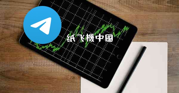 纸飞機中國