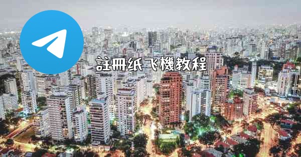 註冊纸飞機教程