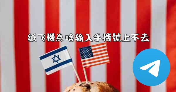 <b>纸飞機為啥输入手機號上不去</b>