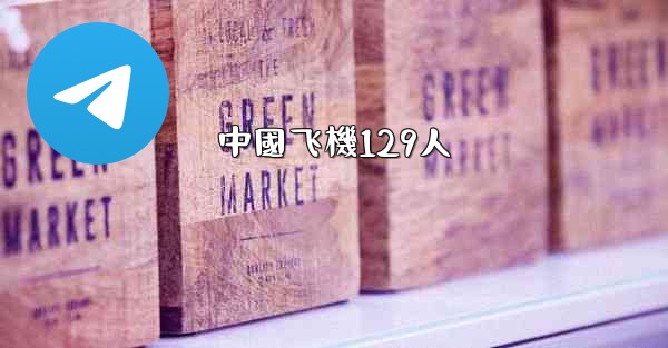 <b>中國飞機129人</b>