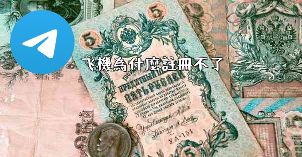 飞機為什麼註冊不了