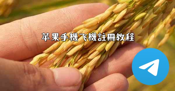 苹果手機飞機註冊教程