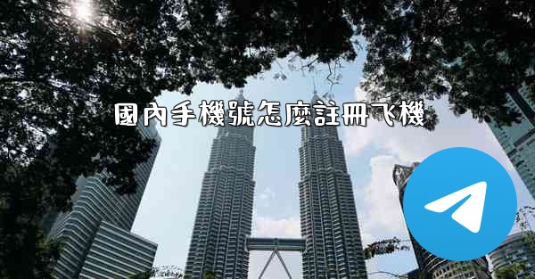 國內手機號怎麼註冊飞機