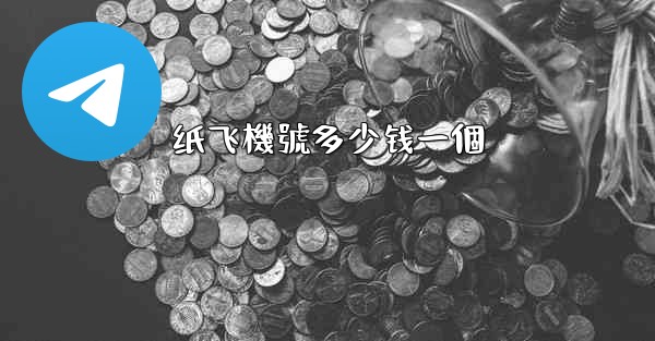 纸飞機號多少钱一個