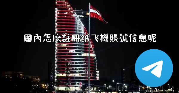 國內怎麼註冊纸飞機賬號信息呢