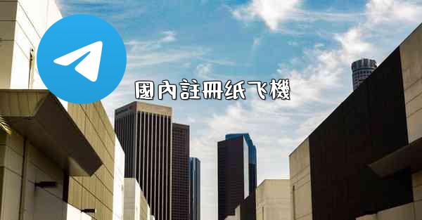 國內註冊纸飞機