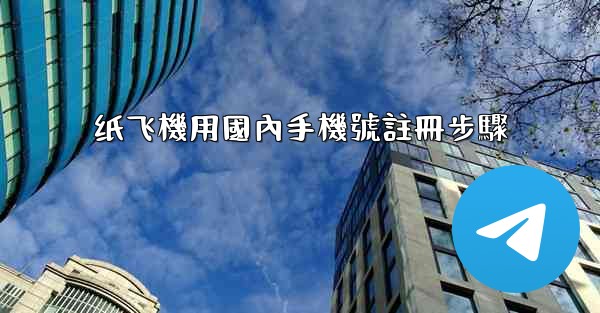 纸飞機用國內手機號註冊步驟