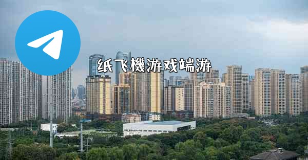 纸飞機游戏端游