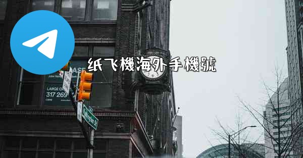 纸飞機海外手機號