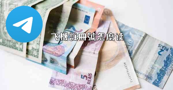 飞機註冊號怎麼读