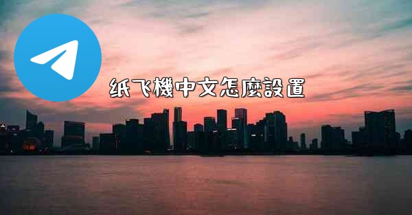 纸飞機中文怎麼設置