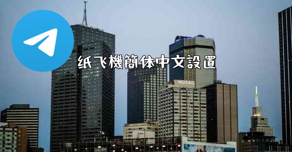 纸飞機簡体中文設置