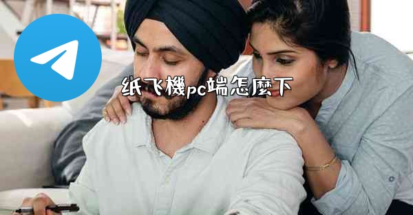 纸飞機pc端怎麼下