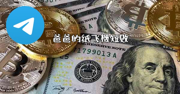 爸爸的纸飞機短剧