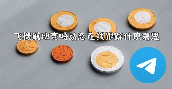 飞機航班實時动态在线跟踪什麼意思