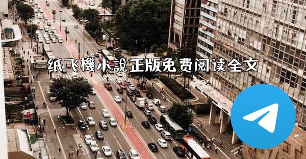 纸飞機小說正版免费阅读全文