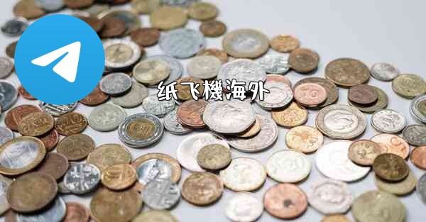 纸飞機海外