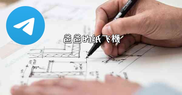 <b>爸爸的纸飞機</b>